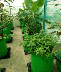 HDPE-Garden-Grow-Bags