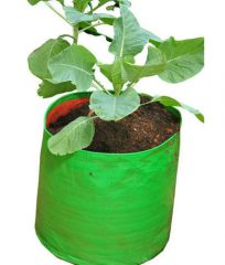 plant-grow-bag-500×500